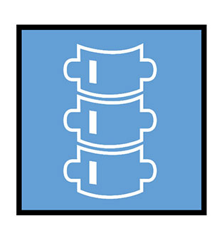 x-ray of spine icon