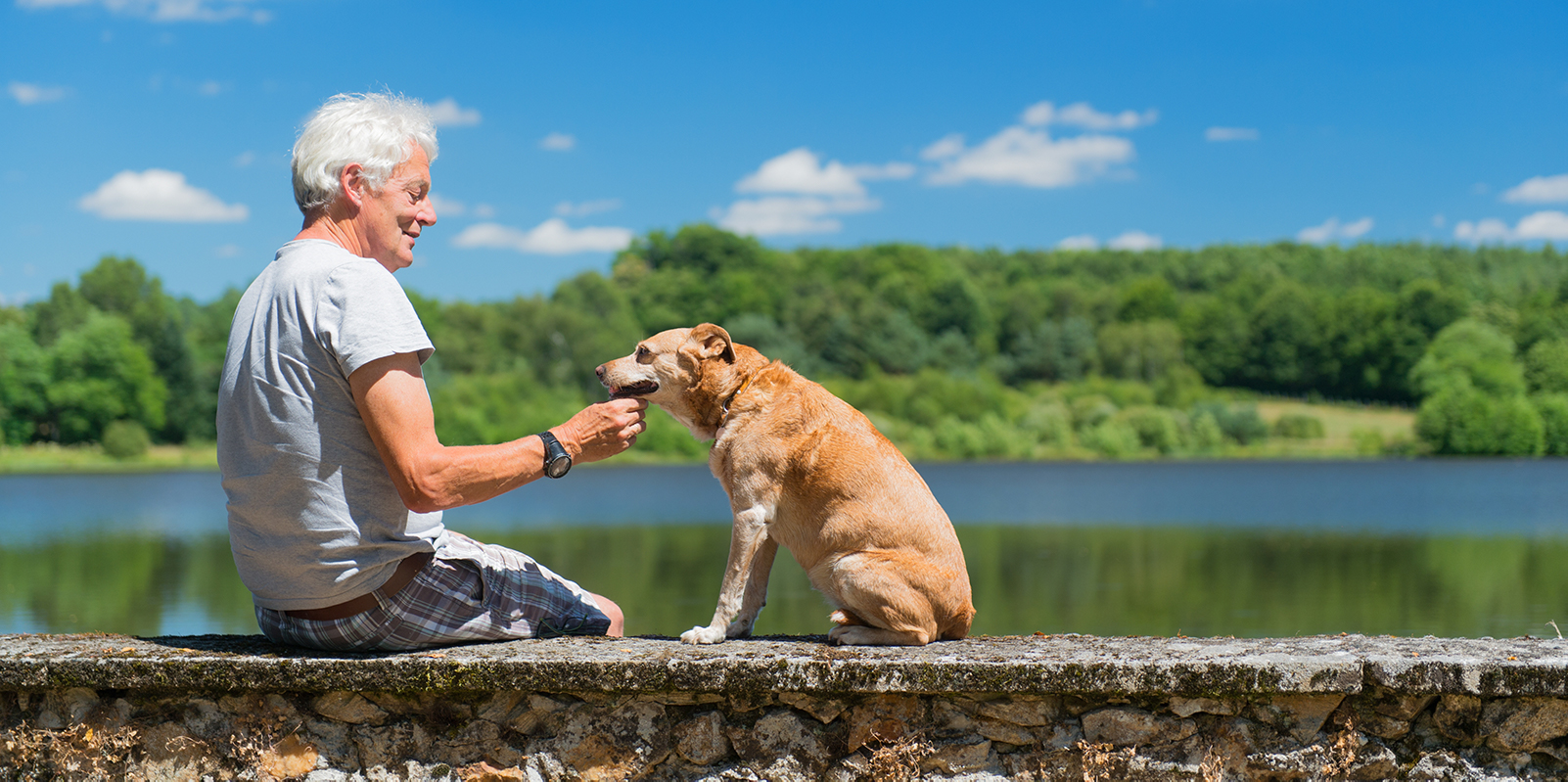 Senior man with brown dog sitting on a wall in nature landscape with lake. 